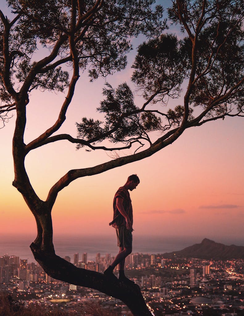 Silhouetted man on a tree at sunset with a panoramic view of Honolulu cityscape in the background.